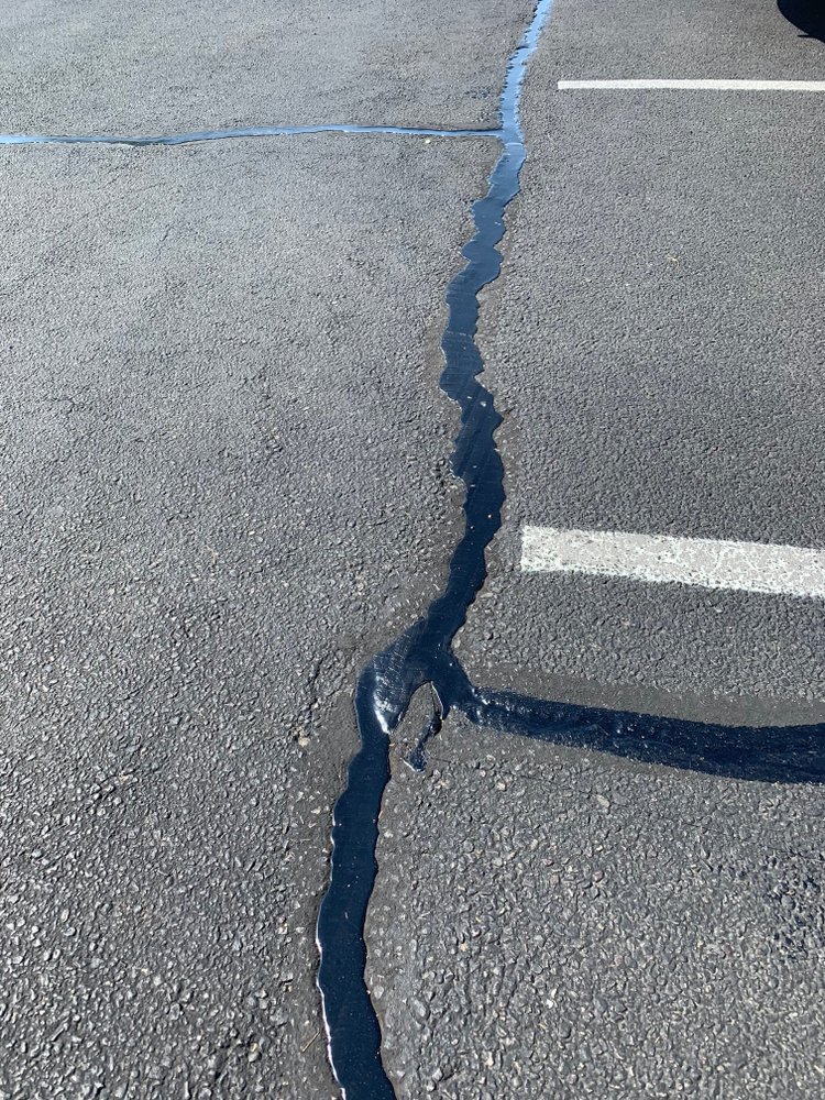 Asphalt crack sealed with rubberized sealant in a parking lot, illustrating professional crack sealing services to prevent pavement damage.